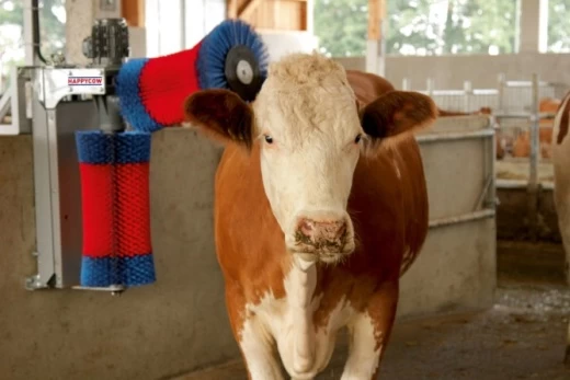 18820 Автоматическая щетка для коров HAPPYCOW Duo Kerbl