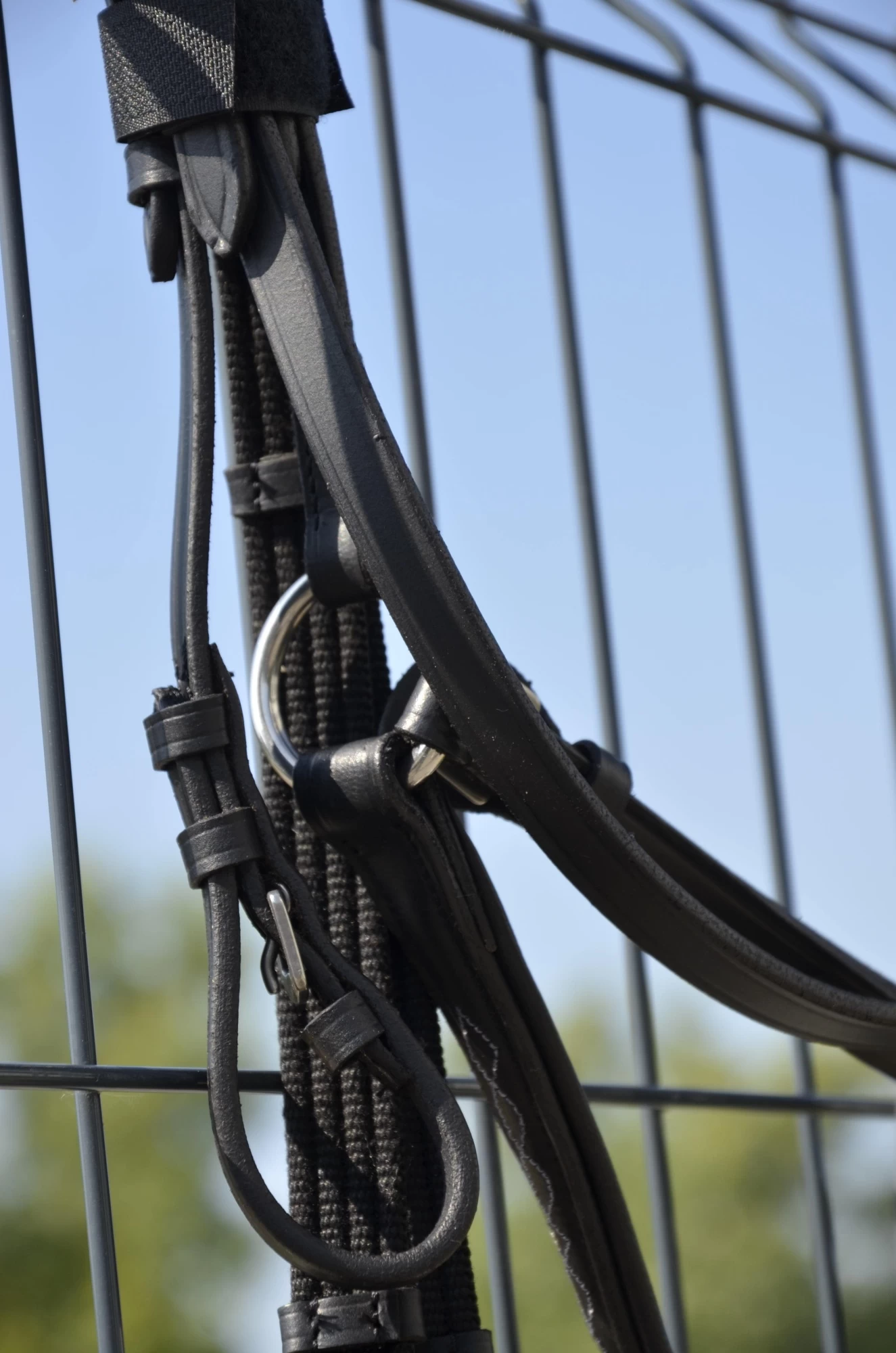 Оголовье Covalliero Cancun размер Cob, черное