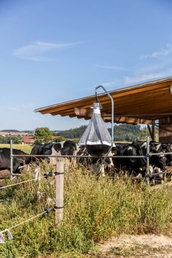 Ловушка для слепней и оводов 