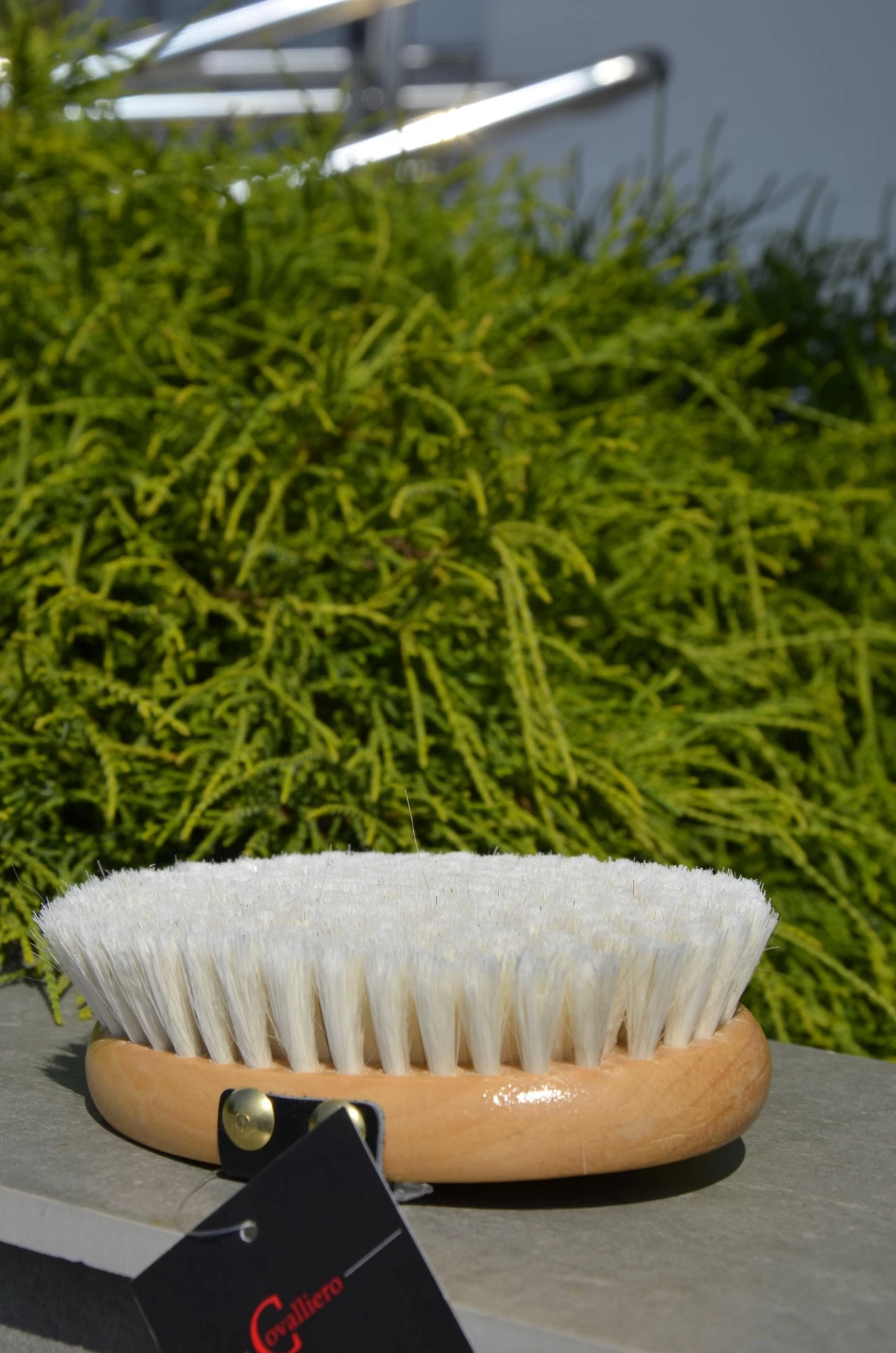 Щетка для лошадей Covalliero Brush&Co 13см, натуральный волос