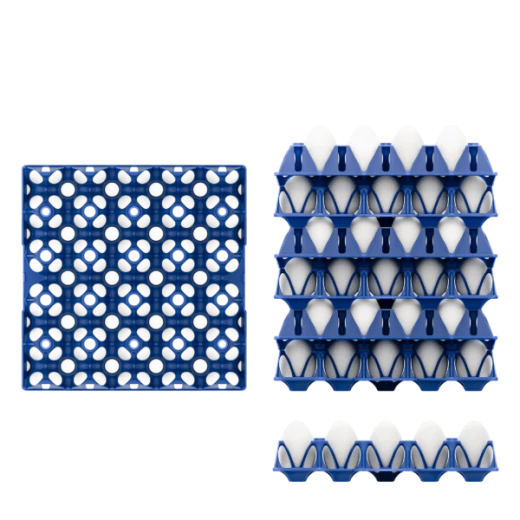 Пластиковый лоток для яиц 5X4, 300x300x55 мм (новая версия)