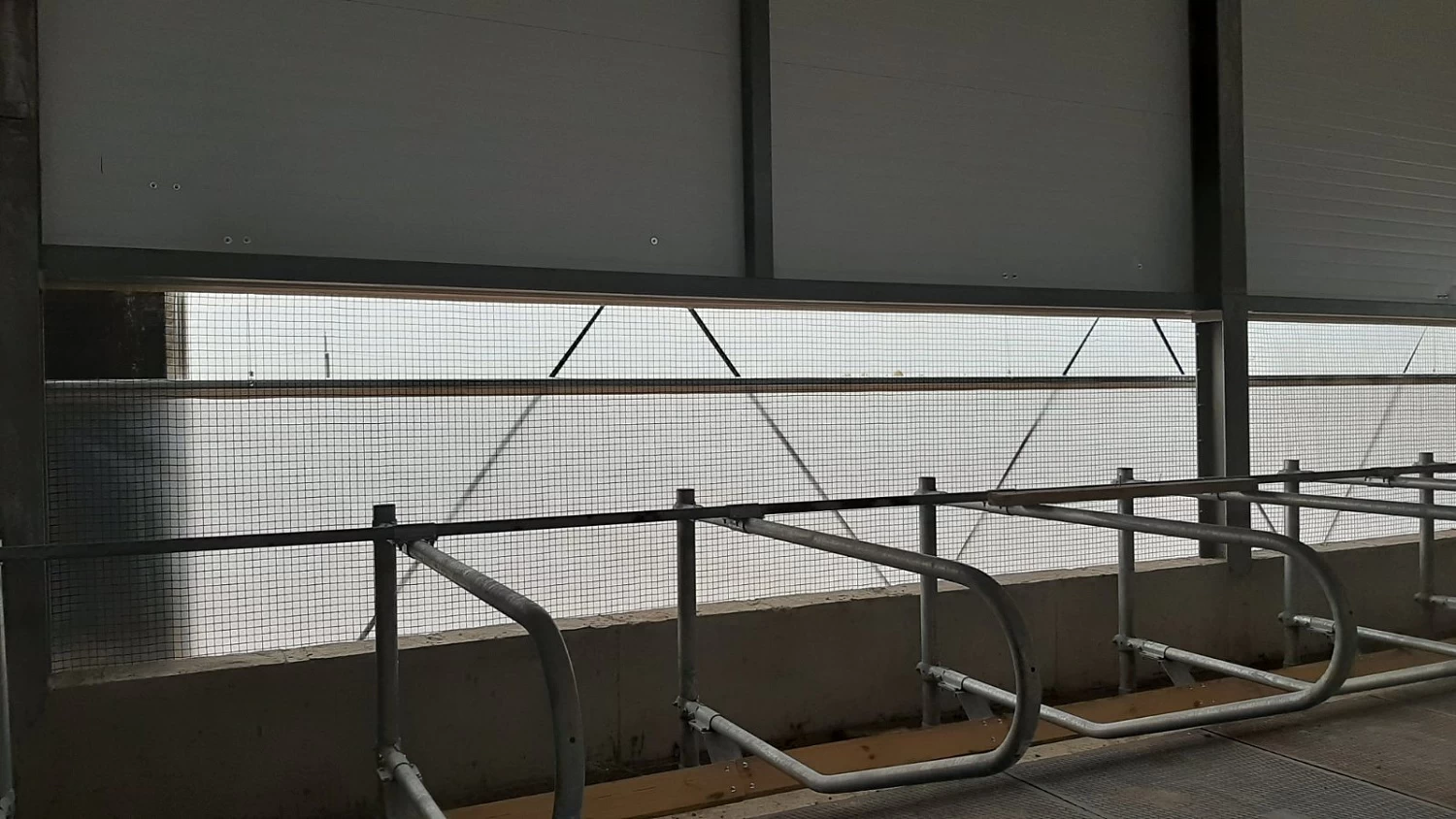 ПЛЕМЗАВОД "СЕМЕНОВСКИЙ"